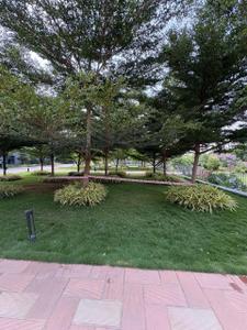 Image of 1630 Sq.ft 3 BHK Apartment / Flat for sale in MARQ , Kannamangala - Whitefield Hoskote Road, Bengaluru for Rs. 27000000