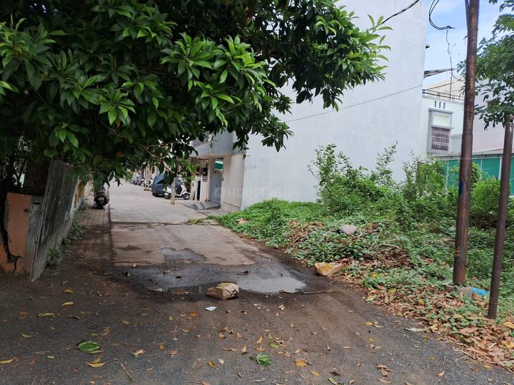Gotri Main Image 1