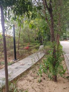 Image of 996 Sq.ft 3 BHK Apartment / Flat for sale in BPTP Terra, Sector 37D, Gurgaon for Rs. 27500000