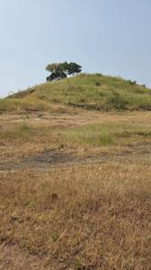 Image of 6000 Sq.ft Residential Plot / Land for sale in Kikvi, Pune for Rs. 1100500