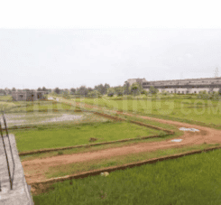 Doordarshan Colony Plot View 1
