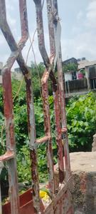 Image of 2100 Sq.ft Residential Plot / Land for sale in Kalikapur, EM Bypass, Kolkata for Rs. 13000000