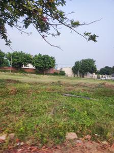 Image of 900 Sq.ft Residential Plot / Land for sale in Mullanpur Garibdass, Chandigarh for Rs. 16500000