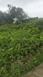 Image of 4356 Sq.ft Residential Plot / Land for sale in Namkum, Ranchi for Rs. 9000000