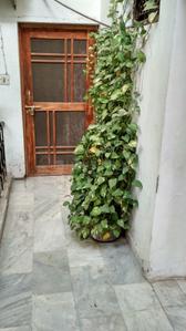 Balcony Image of 800 Sq.ft 2 BHK Apartment / Flat for sale in Aliganj Lucknow for Rs. 4500000