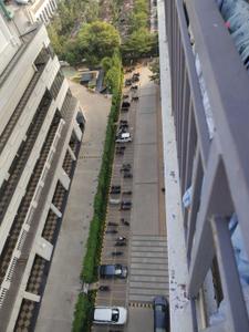 Image of 450 Sq.ft 1 BHK Apartment / Flat for rent in ROF Amaltas, Sector 92, Gurgaon for Rs. 19900
