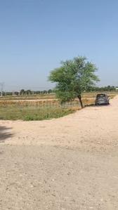 Image of 1800 Sq.ft Residential Plot / Land for sale in Madhorajpura, Jaipur for Rs. 2700000