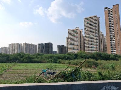 Image of 4500 Sq.ft Residential Plot / Land for sale in Sector 79, Noida for Rs. 85000000