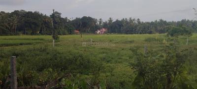 Image of 4356 Sq.ft Residential Plot / Land for sale in Katapady, Udupi for Rs. 2100000