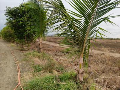 Ak Land developers Plot View 3