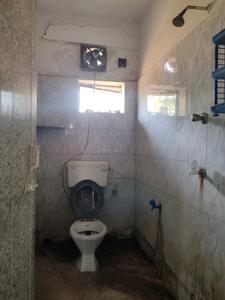 Common Bathroom Image of 650 Sq.ft 2 BHK Apartment / Flat for sale in Tirupati Apartment, North Dum Dum Bediapara Kolkata for Rs. 2500000