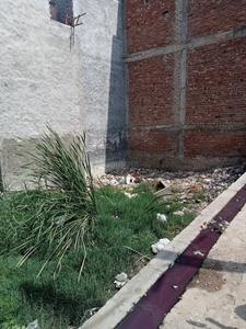 Burari Garhi Plot View 2