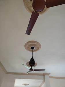 Hall Image of 650 Sq.ft 2 BHK Apartment / Flat for rent in Patel Nagar Bhopal for Rs. 14000