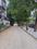 Green City Plot View 2