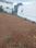 Kathir Naickenpalayam, Vadamadurai Plot View 2