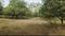 Mango Garden Plot View 2