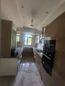 Kitchen Image of 2300 Sq.ft 3 BHK Builder Floor for rent in Sector 43 Gurgaon for Rs. 80000