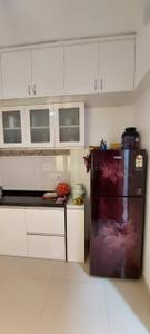Kitchen Image of 581 Sq.ft 2 BHK Apartment / Flat for rent in Kothari The Leaf, Yewalewadi Pune for Rs. 15000