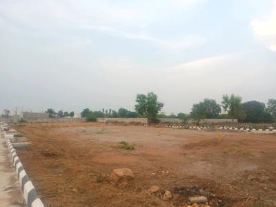 Palm City Plot View 1