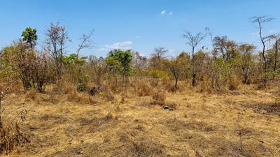 Image of 1089 Sq.ft Residential Plot / Land for sale in Jambhulpada, Raigad for Rs. 725000