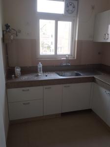 Kitchen Image of 1650 Sq.ft 3 BHK Builder Floor for rent in Emaar Emerald Floors Premier, Sector 65 Gurgaon for Rs. 62000