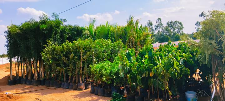 Keesara Main Image 1