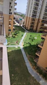 Image of 450 Sq.ft 1 BHK Apartment / Flat for rent in ROF Amaltas, Sector 92, Gurgaon for Rs. 14999