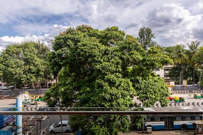 Balcony Image of 2400 Sq.ft 3 BHK Builder Floor for rent in Koramangala Bengaluru for Rs. 135000
