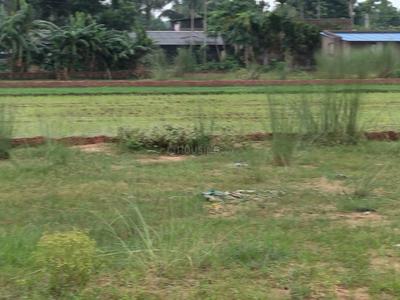 Image of 1000 Sq.ft Residential Plot / Land for sale in Benupur, Bhubaneswar for Rs. 2300000