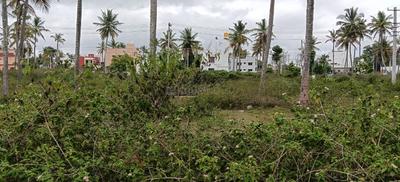 Residential Plot
