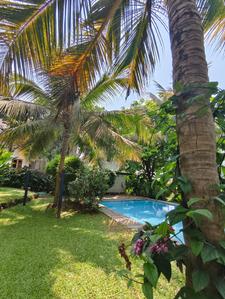 Image of 4736 Sq.ft 4 BHK Independent House for sale in Assagao, Goa for Rs. 125000000