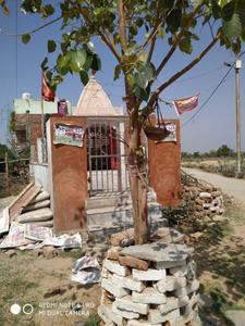 Image of 1215 Sq.ft Residential Plot / Land for sale in Artauni, Agra for Rs. 1500000