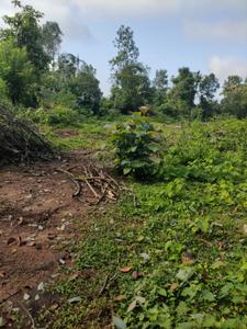 Image of 58806 Sq.ft Residential Plot / Land for sale in Thiruvalla, Pathanamthitta for Rs. 20000000