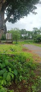 Image of 300 Sq.ft 1 RK Villa for sale in Karjat, Thane for Rs. 2500000