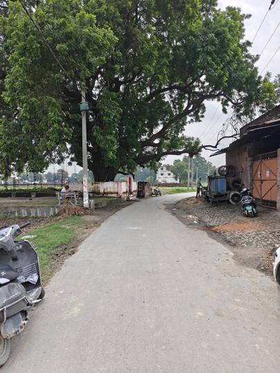 Kurhua Main Image 1