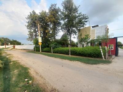 Image of 1000 Sq.ft Residential Plot / Land for sale in Dharmawala, Dehradun for Rs. 22000000