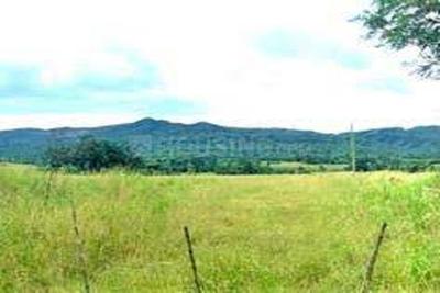 Image of 1296 Sq.ft Residential Plot / Land for sale in ASM Shree Jaswant Garden, Sector 14, Panchkula for Rs. 10083000