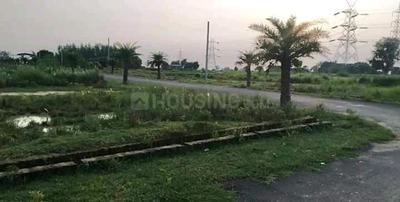 Image of 1250 Sq.ft Residential Plot / Land for sale in Pura Mufti, Allahabad for Rs. 2500000