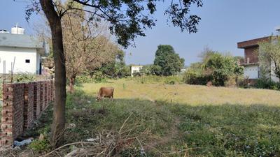 Image of 2900 Sq.ft Residential Plot / Land for sale in Pondha, Dehradun for Rs. 78000000