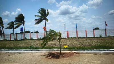 Image of 300 Sq.ft Residential Plot / Land for sale in Ponnekallu, Guntur for Rs. 5400000