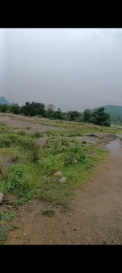 Bazarapada Main Image 1