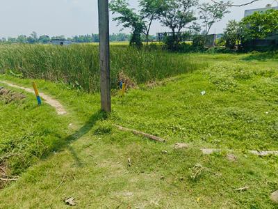 Natagachi Plot View 3