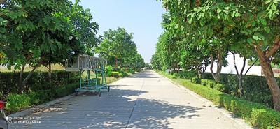 Image of 2160 Sq.ft Residential Plot / Land for sale in Rani Majra, Chandigarh for Rs. 27600000