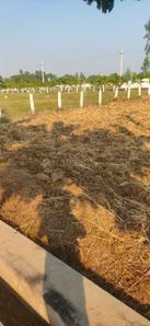 SUDHARSHAN GARDENS Plot View 3