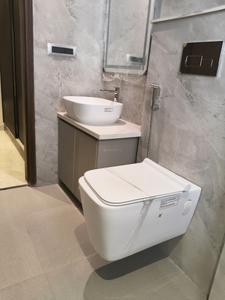 Common Bathroom Image of 2750 Sq.ft 3 BHK Builder Floor for rent in Sector 40 Gurgaon for Rs. 70000