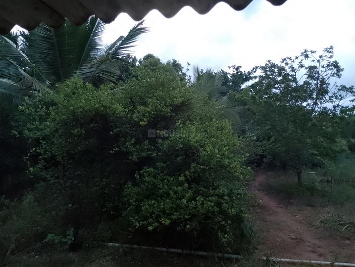 Karumandurai  Main Image 1