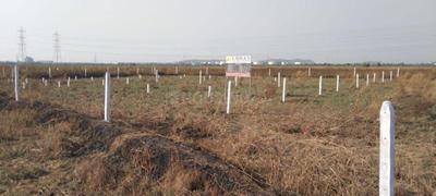 Image of 1089 Sq.ft Residential Plot / Land for sale in Mahamumbai Plots In Sarde, Sarde, Navi Mumbai for Rs. 413000