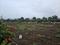 Perne Main Image 1