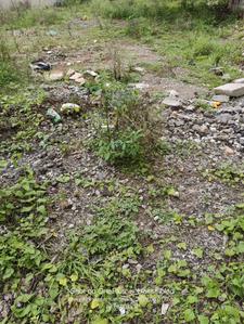 Image of 5400 Sq.ft Residential Plot / Land for sale in Vidyaranyapura, Bengaluru for Rs. 52500000