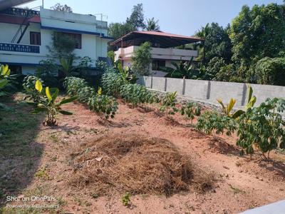 Thrippunithura Plot View 3